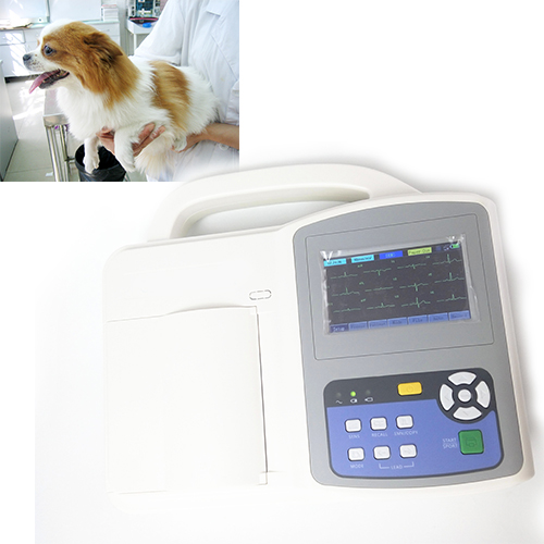ecg_5
